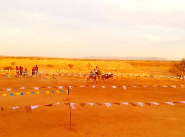 WhatsApp Image 2022-08-15 at 15.58.10 (6)