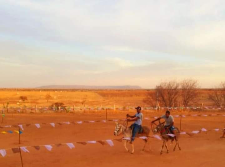 WhatsApp Image 2022-08-15 at 15.58.10 (7)