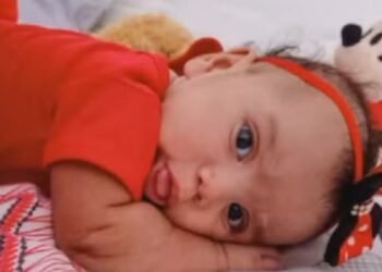 Bebê de cinco meses morre após ser atacada por cachorro; pais deixaram a menina sozinha para comprar álcool para churrasco