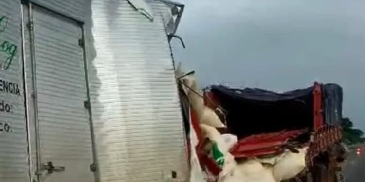 Acidente na BA-156 deixa três mortos em colisão entre caminhões