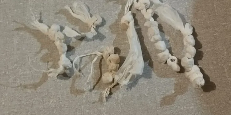 Guanambi: Adolescente é apreendido com 25 pedras de crack no Mutãs Folia