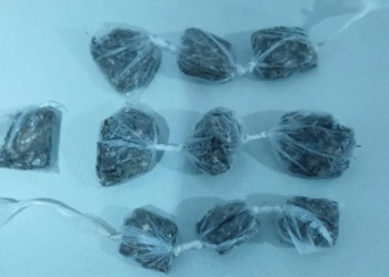 Dois indivíduos são presos com 10 porções de maconha em Bom Jesus da Lapa