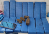 Homem é preso com 14,5 kg de maconha em ônibus na BR-030, em Guanambi