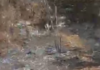 Corpo carbonizado é encontrado na zona rural de Sebastião Laranjeiras