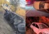 Colisão entre caminhões na BR-122 deixa um morto e interdita rodovia em Candiba