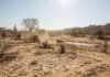 Brasil: Secas, calor e temporais: Entenda os impactos do Super El Niño nos próximos meses